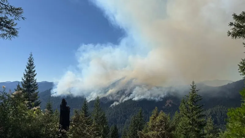 Castle Fire grows to 1,727 acres northeast of Tiller; 0% contained