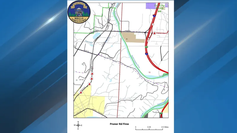 Five small vegetation fires near Riddle quickly contained