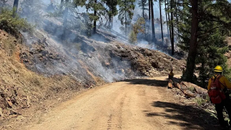 Castle Fire has burned 1,727 acres northeast of Tiller, Oregon; 0% contained