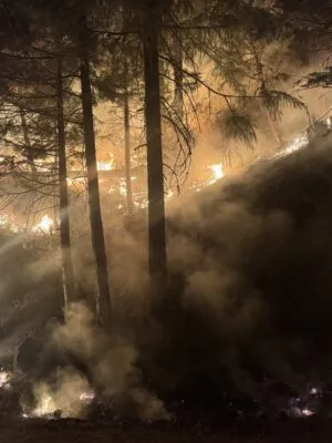 CASTLE FIRE AT 1,983 ACRES, 8 PERCENT CONTAINED