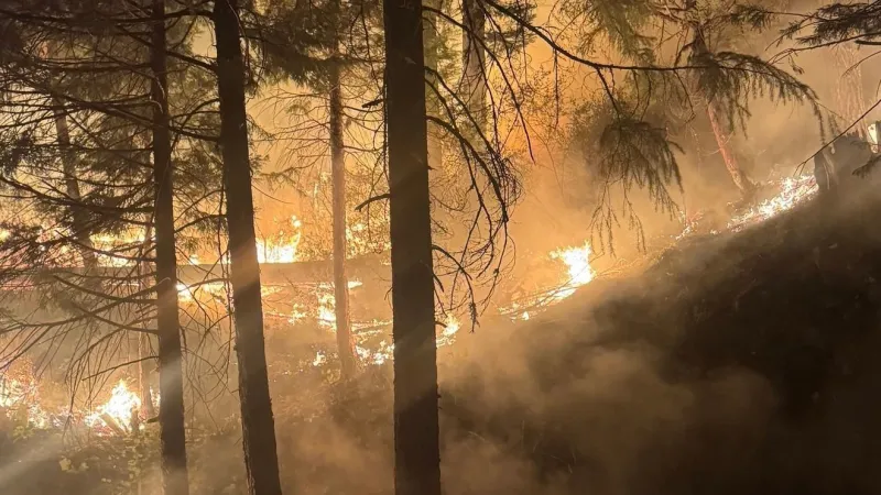Castle Fire grows to 1,983 acres, 8% contained; crews pursue full suppression near Tiller,