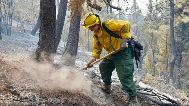 Gusty winds, heat to test fire lines as crews make some gains on major Oregon wildfires
