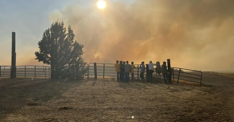 Wildfires force evacuations, devastate grazing land across region