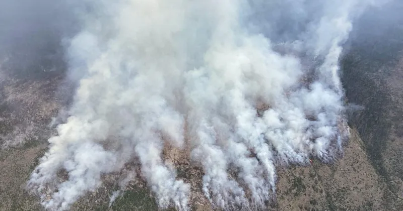 As fires rage in the Pacific Northwest, leaders call all hands on deck