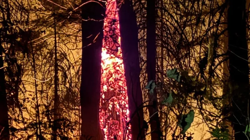 Umpqua National Forest expands Castle Fire closure area effective immediately