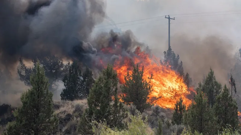 Pacific Northwest faces 'extremely critical' fire weather risk as gusty winds rage