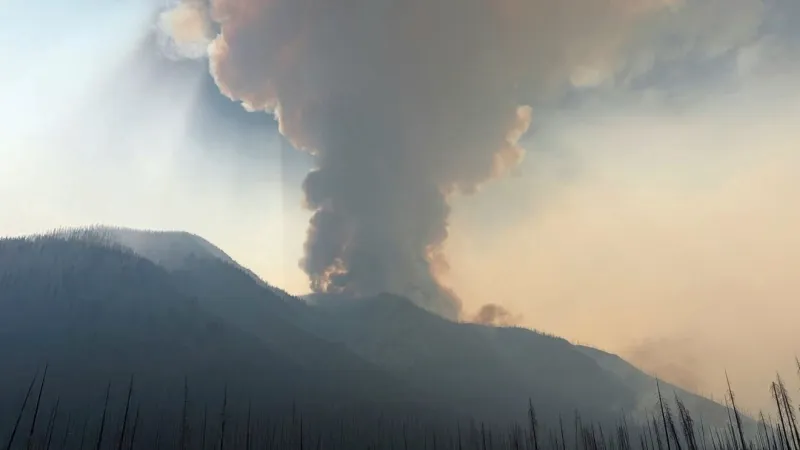 Statewide emergency declared as Washington bans most outdoor burning amid wildfire threat