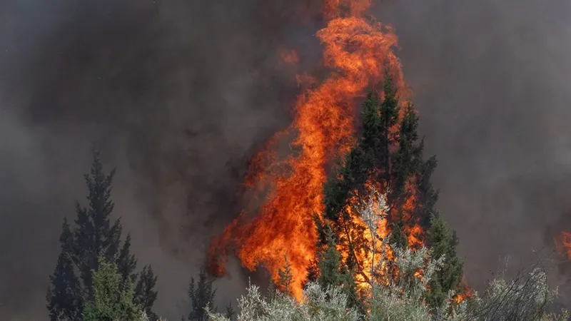 Oregon temporarily pauses insurance cancellations in wildfire areas