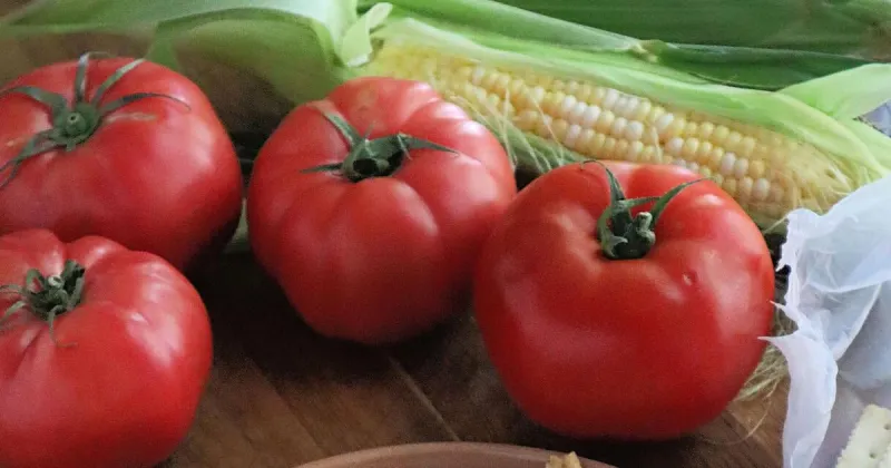 2 magical tomato recipes from Roman and Southern kitchens