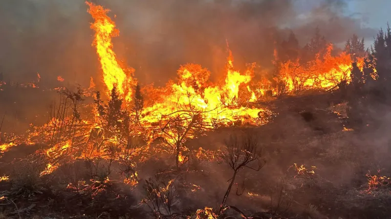 Oregon Wildfires Top 2 Million Acres, Closing In on State's All-Time Record