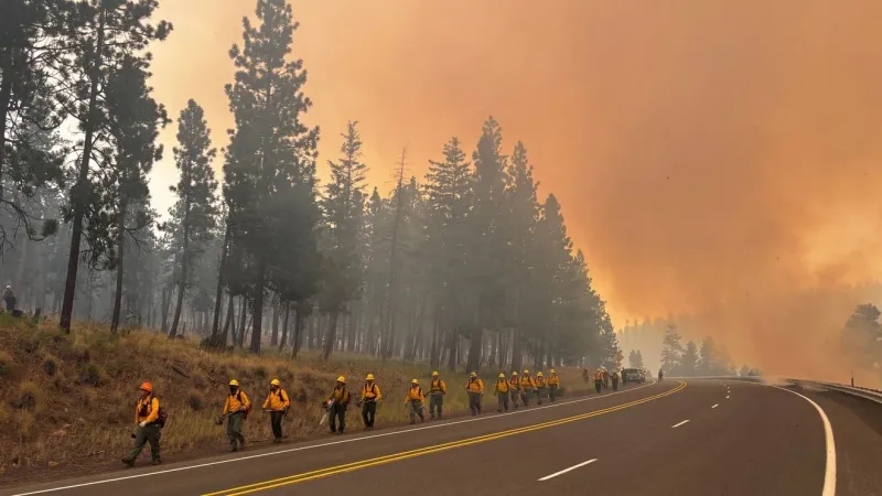 VOTE: Are you worried about increased wildfire risk?