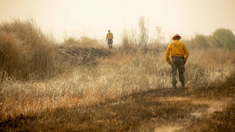 Wildfires burn parts of Malheur National Wildlife Refuge