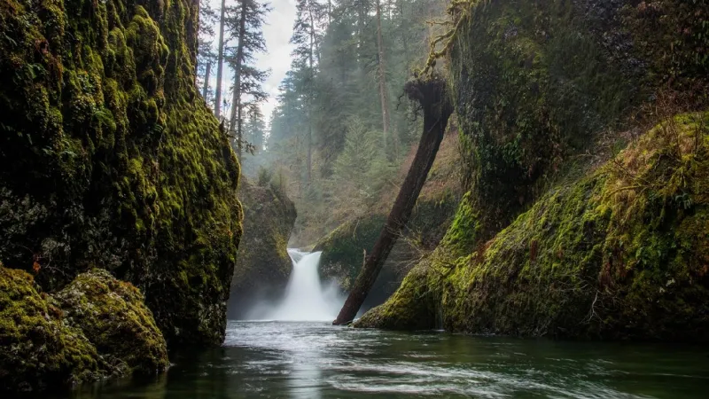 Hiker dies after fall near Punchbowl Falls in Columbia River Gorge