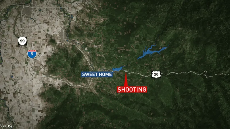 Officers involved in shooting east of Sweet Home, suspect in custody
