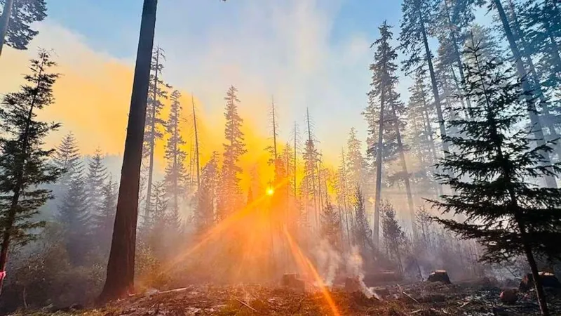 Castle Fire now estimated at 2,758 acres, 30% contained