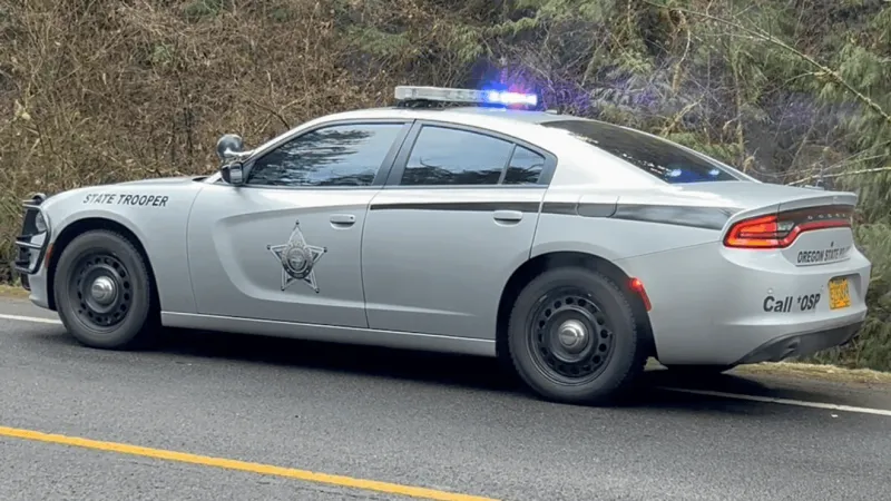 Driver killed in elk crash on Highway 234 near Eagle Point
