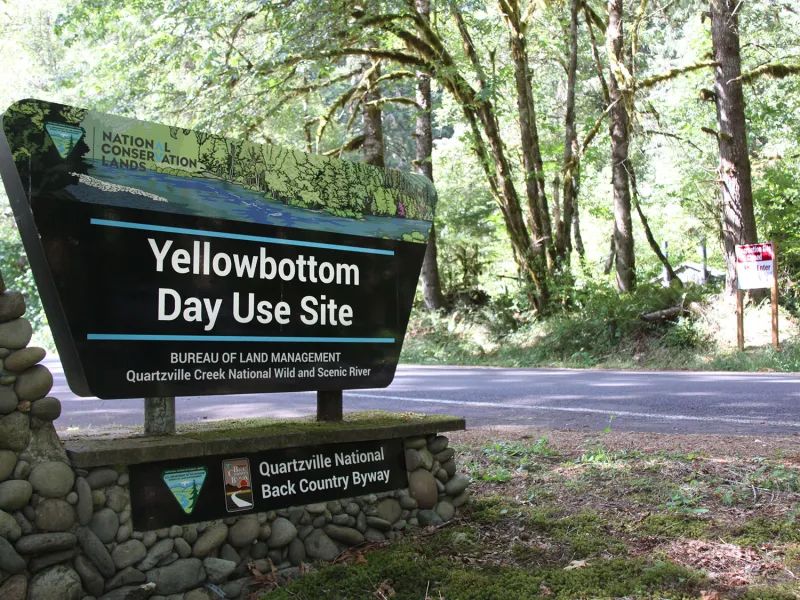 Hazard trees prompt closure of Yellowbottom Campground