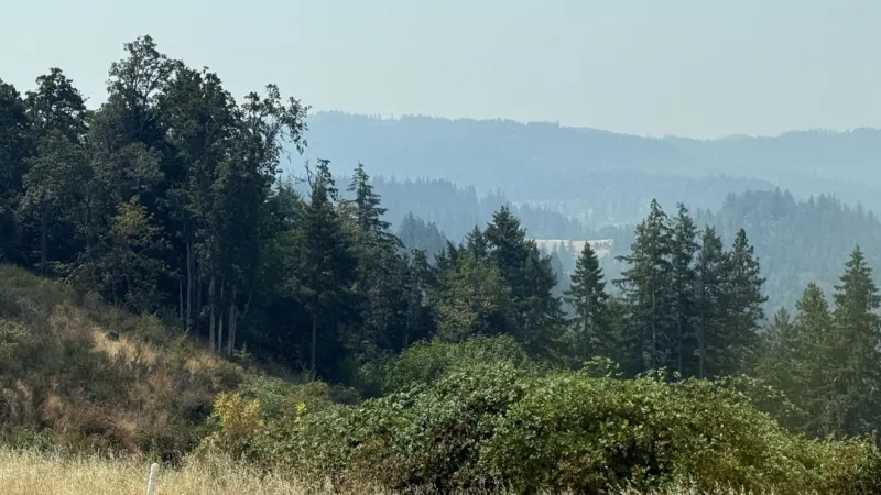 VOTE: Is the smoke impacting you?