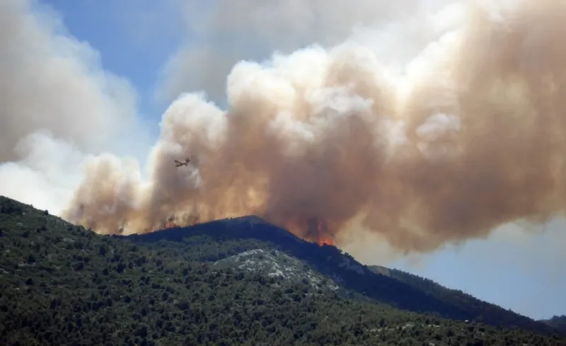 Emergency order pauses insurance cancellations due to wildfires