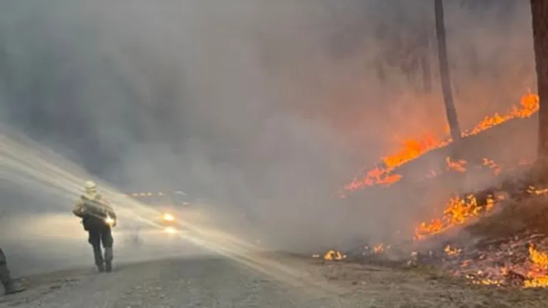 Merkley, Democratic senators urge crackdown on wildfire betting markets
