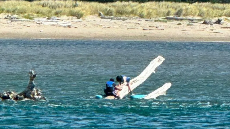 Rescue crews save family of paddleboarders trapped on sand bar in Siletz Bay