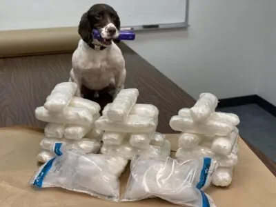 NARCOTICS K-9 TRAPPER ENTERS RETIREMENT AFTER 11 YEARS OF SERVICE