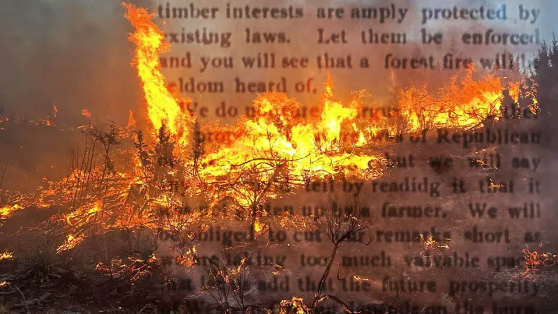A Forgotten Newspaper Clipping Reveals Oregon's Wildfire Debate Was Already Raging More Than 120 Years Ago