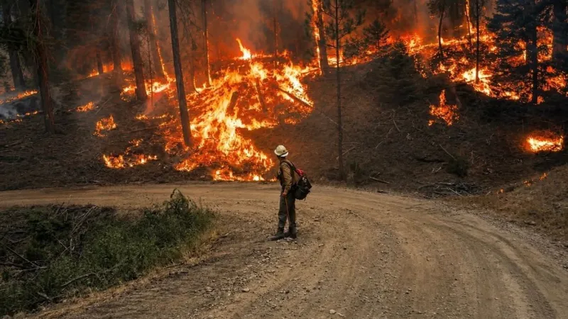 Public meeting planned as Rowe Creek Complex Fire reaches 329,000 acres, 62% containment