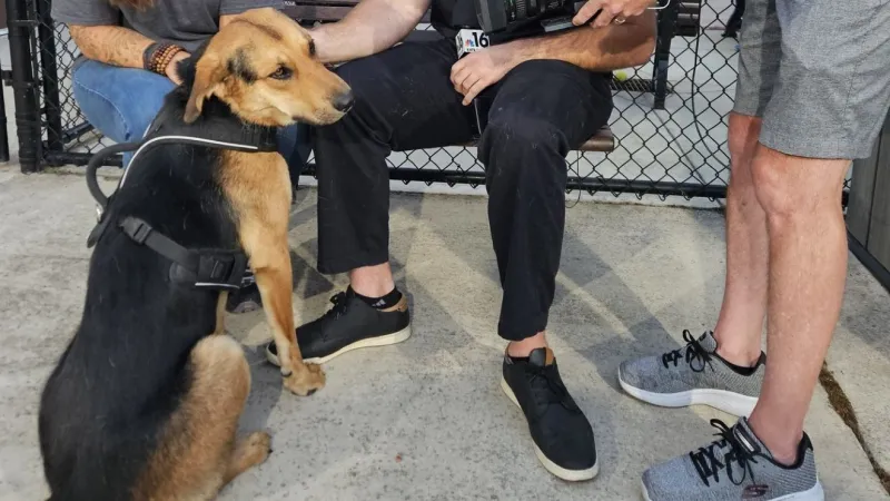 August 26, 2026 | Help NBC16 Clear the Shelters
