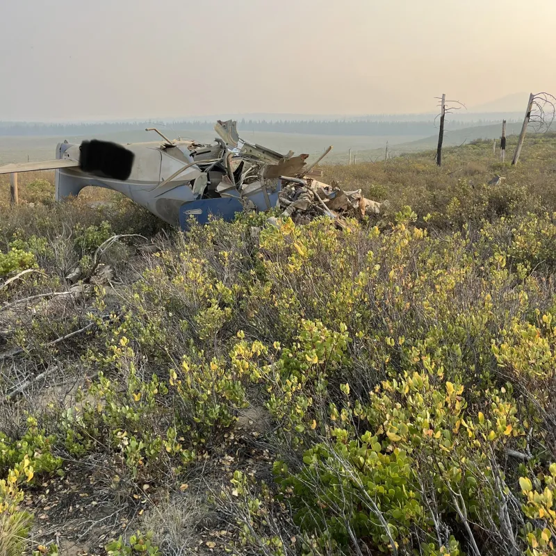 Plane Crash Suicide