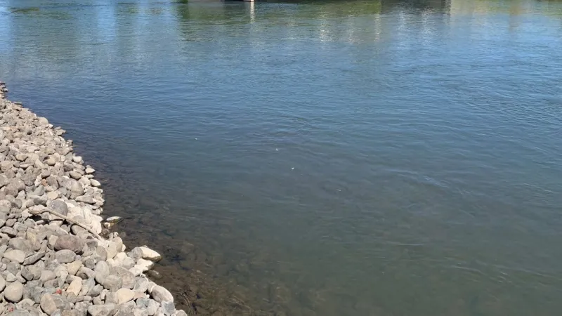 Low wild steelhead returns prompt emergency North Umpqua River angling closure