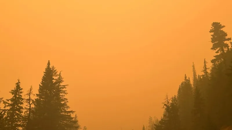 Tips to make sure the smoky air does not infiltrate your home
