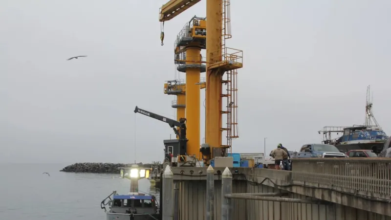 Port Orford wants to become a South Coast seafood hub. Here's what comes next