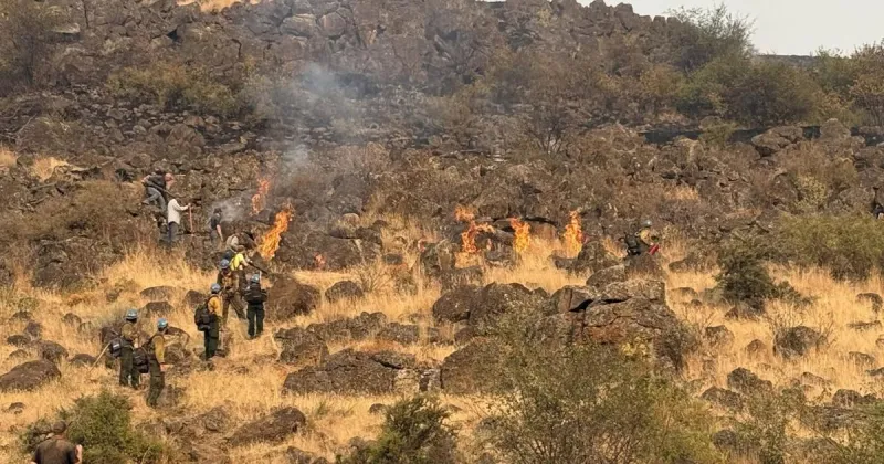Tartar Fire 66% contained as crews hold Mann Creek, improve coordination with ranchers