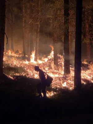 CASTLE FIRE STILL AT 2,995 ACRES, 48 PERCENT CONTAINED