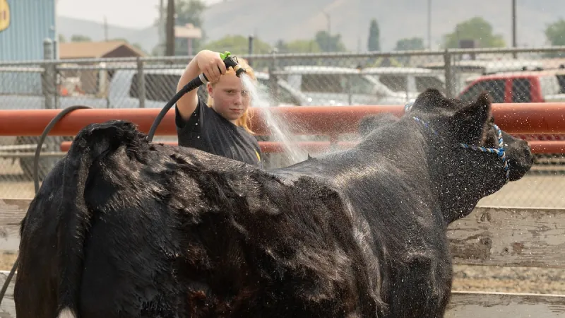Smoke covers rural Oregon but the county fair goes on