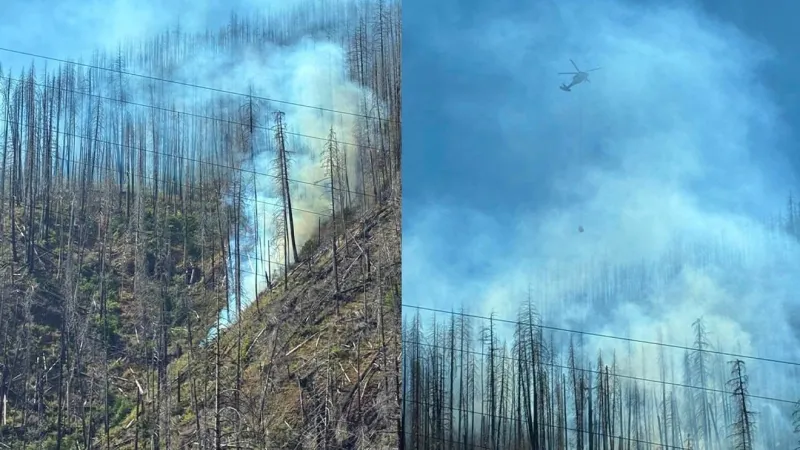 New 5-acre fire, The Narrows, burning in scar of 2020 Riverside Fire in Clackamas County