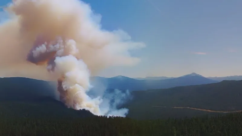 Three new small fires break out in Mt. Hood National Forest over the weekend