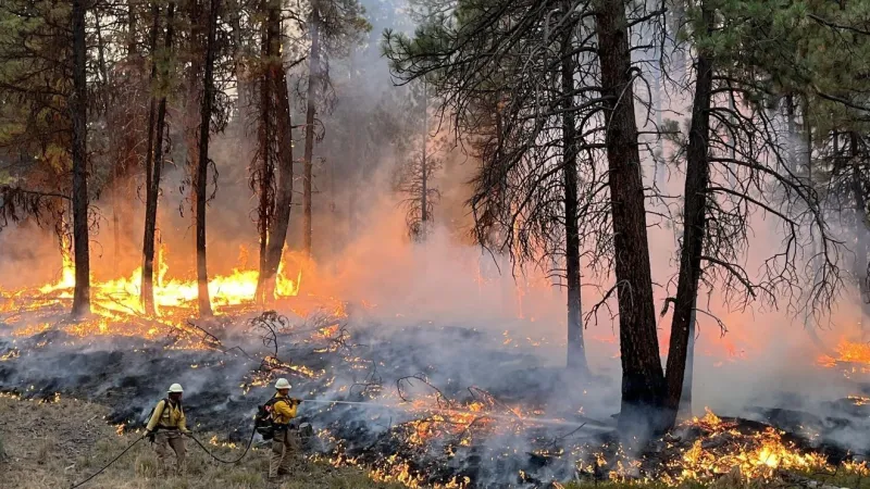 Over 2.3 million acres burned in Oregon's 2026 wildfire season, topping 2024 record