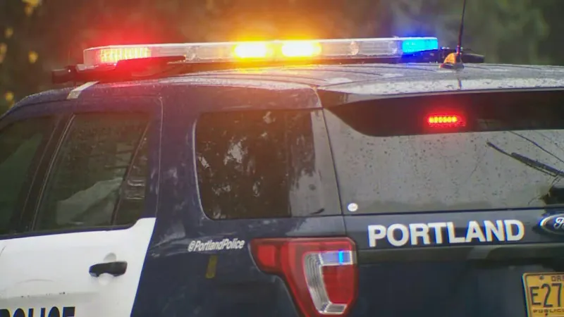 Docs: Portland man cited after Great Dane connected to several vicious attacks