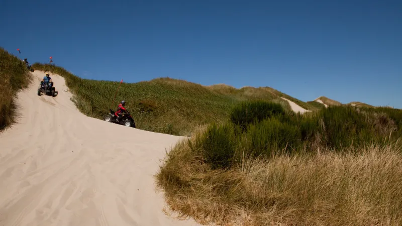 Federal judge grants environmental group's request for temporary Oregon Dunes protections