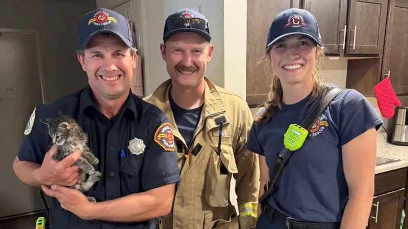 Corvallis firefighters free kitten stuck in furniture during unusual rescue call