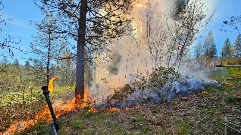 As blazes rage across Oregon, Mosier explores a proactive approach to fire