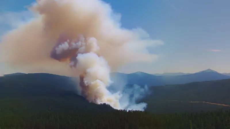 Level 3 'Go Now' evacuations ordered for Austin Fire south of Mt. Hood