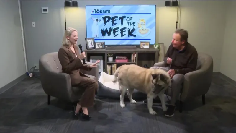 Pet of the Week: Blue