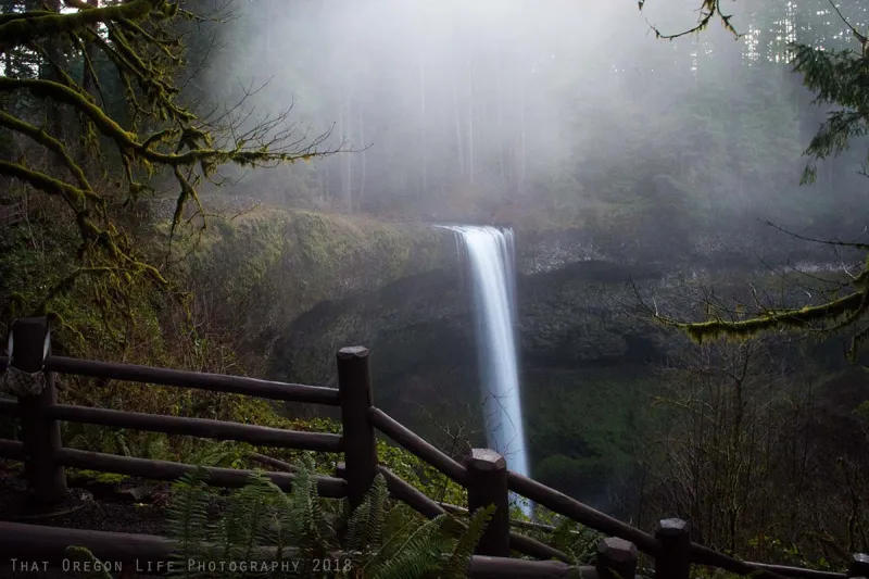 Person Dies in 177-Foot Fall at Silver Falls State Park After Entering Closed Area