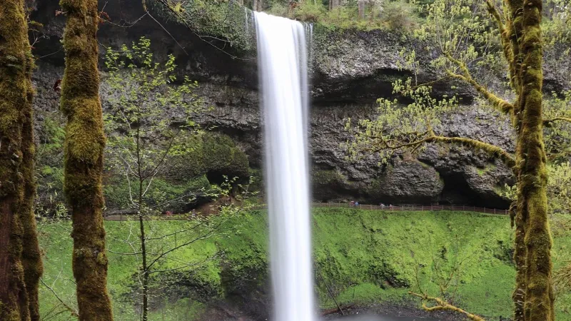 Person dies after slipping and falling from top of waterfall at Silver Falls State Park