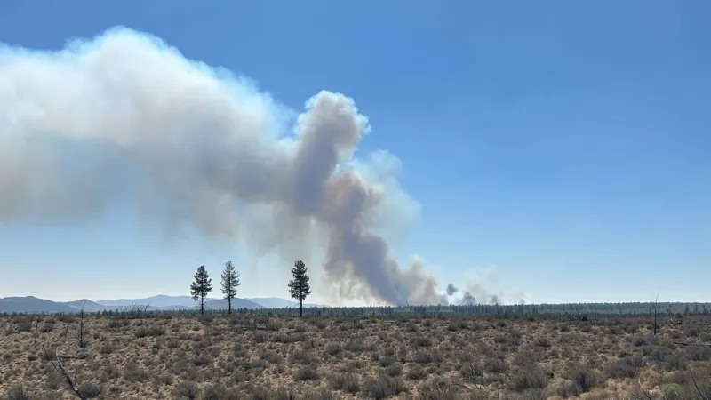 All evacuations lifted as Hidden Forest Fire reaches full containment