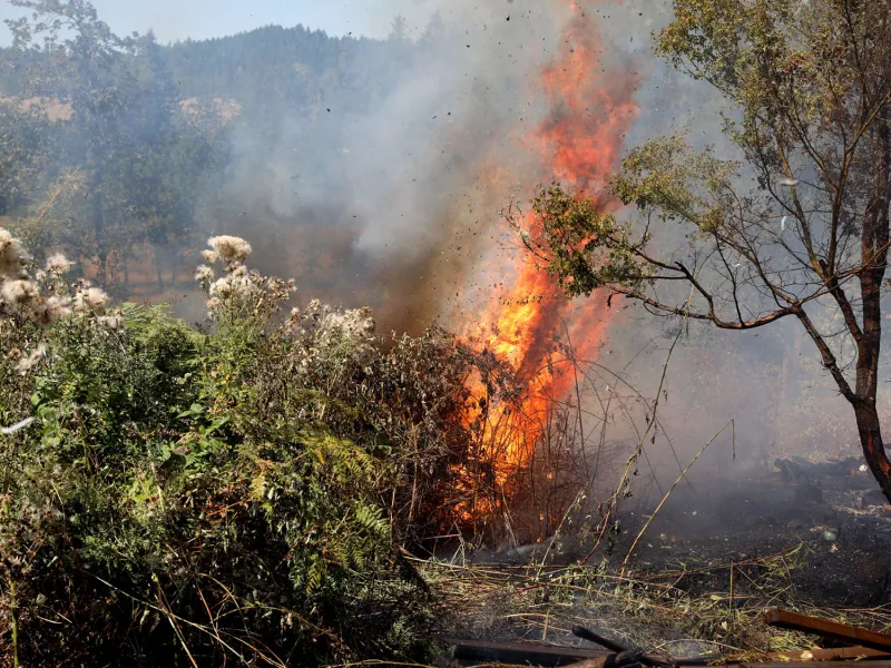 Fast-moving Hilltop Drive fire forces evacuation, quick response