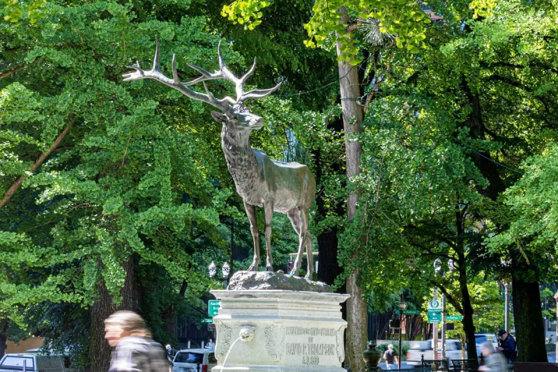If Portland's Thompson Elk Statue Could Talk